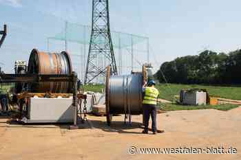 Herford: Planung für Stromtrassenausbau auf der Zielgeraden