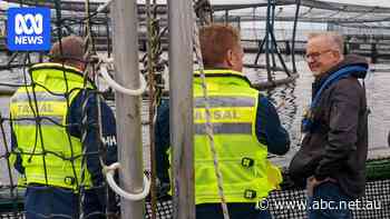 Clarion call for PM to ditch plans to protect Tasmanian salmon
