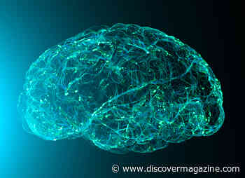 We Process What We Say and How We Say It in Different Parts of Our Brains