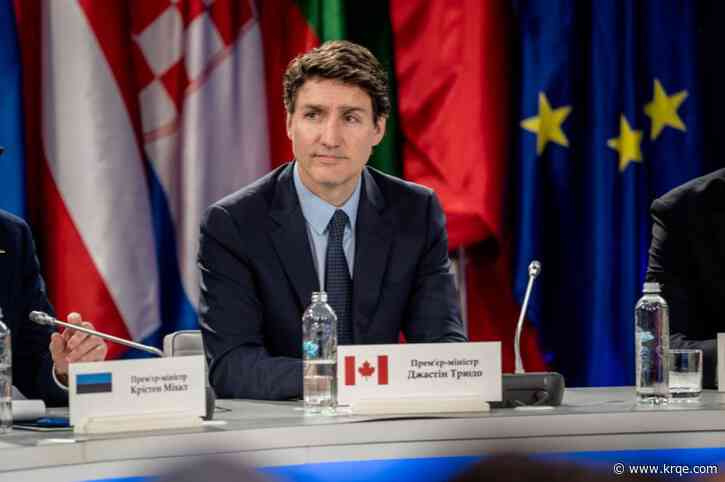 'Dumb thing to do': Trudeau addresses Trump in speech slamming tariffs on Canada