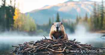 Fastenzeit: Darben muss nun wirklich keiner!