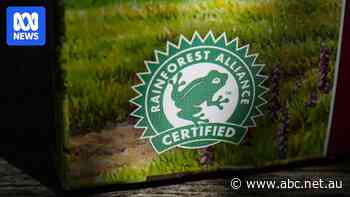 Do ethical tea labels stack up? We went to Sri Lanka to see firsthand