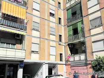 Bimba sbranata dal pitbull, trovato il pigiamino insanguinato tra i rifiuti