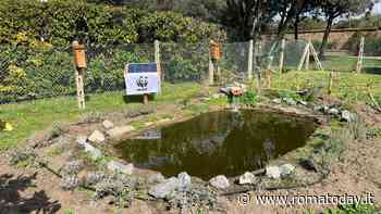 Bambino Gesù, nell’ospedale di Fiumicino apre un’oasi del WWF