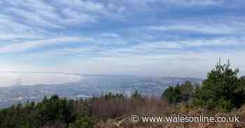 Welsh council gives green light for major leisure project with zip-line, sky swing and more with panoramic views