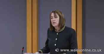 'Reform can't be allowed into the Senedd under any circumstances'  says Jane Dodds - and why she's backing the budget