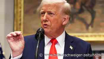 Trump spricht vor US-Kongress – er macht ein großes Versprechen