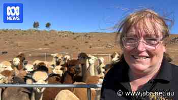 Water shortages leave Adelaide Hills farmers and householders 'at breaking point'