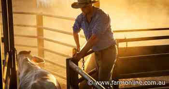 Why did our largest private cattle company buy our biggest sheep station?