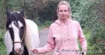 Police issue major update in murder investigation of Swansea woman Leanne Williams