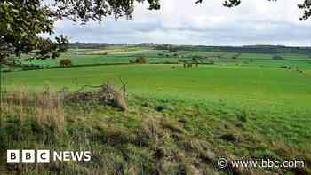 Ex-dairy farm to be turned into RSPB reserve