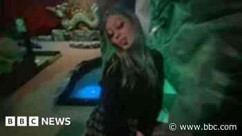 Funds raised after dog attack death and bridge beams delivered