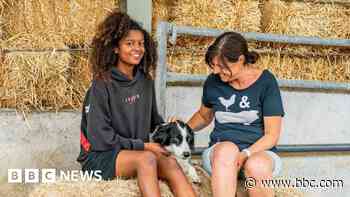 Meet therapy dog Bella, who has helped 3,000 teens