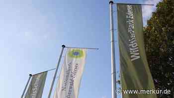 Wölfin flüchtet panisch aus Wildtierpark und wird erschossen – „Blieb keine andere Möglichkeit“