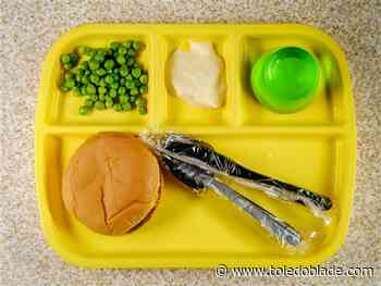 Free lunch in schools? Governor says price too high