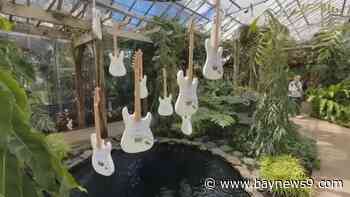 ‘The Quiet Beatle’s’ secret passion on display in Sarasota