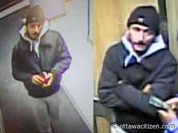 Ottawa police seek voyeurism suspect