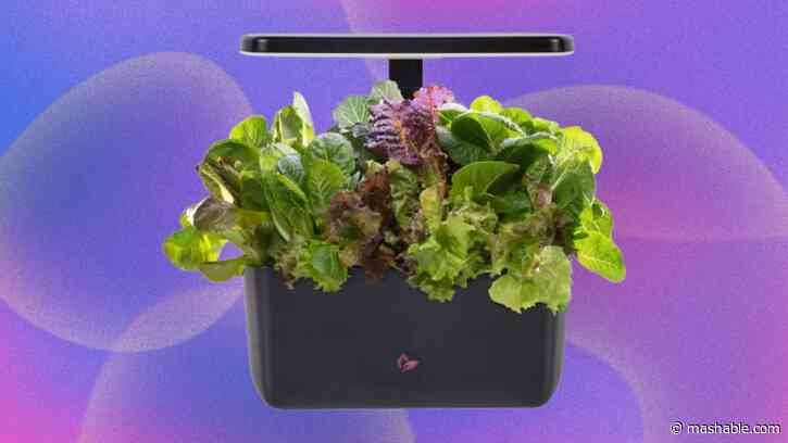 Aerogarden Harvest 2.0 is 36% off — spring deal and spring growths