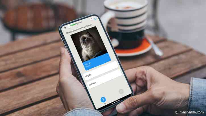 Learn a new language for less than $1 with Qlango