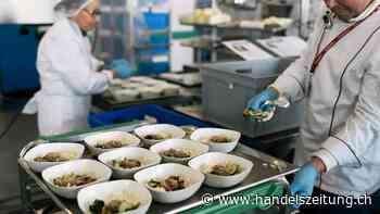 Gategroup mit deutlichem Umsatzplus und operativer Verbesserung