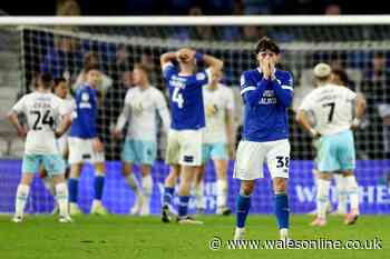 Cardiff City player ratings v Burnley as star man a real handful but others struggle on frustrating night