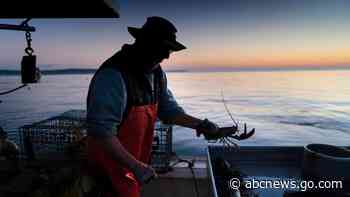 Lobster fishermen can sue environmental group for defamation, judge says