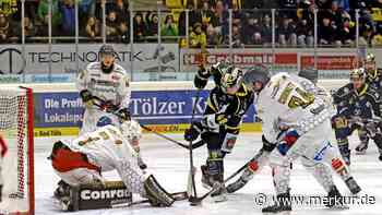 Tölzer Löwen: Sehr erwachsen und immer stabiler