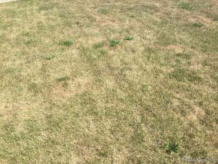 Lack of heavy precipitation so far in 2025