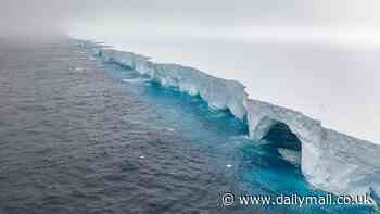 World's largest iceberg which is twice the size of Greater London runs aground off remote British island