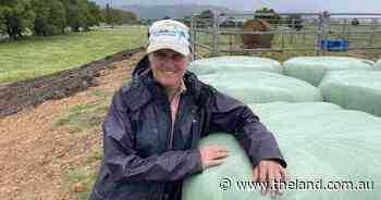 Far North Cost braces for impact from moody Cyclone Alfred