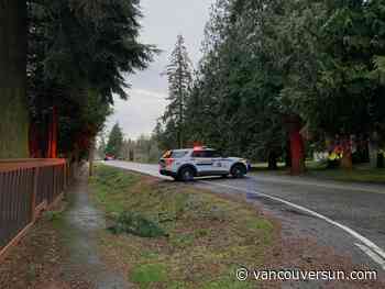 Person detained after several shots fired in rural Langley