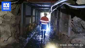 New technology helps discover gold near old mine in Whitsundays