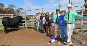 Coonamble Show Time U54 bull tops on-property sale at Bremer Bay