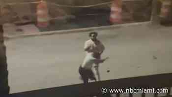 Video shows suspect attacking woman months before she was found dead along I-95