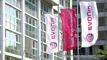 Chemiekonzern: Evonik steigert Gewinn und will wachsen – Dividende stabil