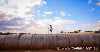 Did you get a bale? More than 160,000 bales of hay via Rural Aid in 10 years