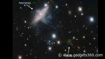 Unexpected Rotational Motion Detected in Ultra-Diffuse Galaxies of Hydra Cluster