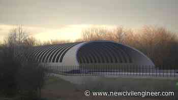 HS2  Environment secretary blasts 'ludicrous' bat tunnel as cost expected to top &pound;119M