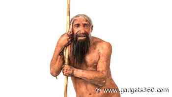 Neanderthal Genetic Bottleneck 110,000 Years Ago May Explain Their Decline