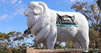 Wagin prepares to celebrate 40th birthday milestone for 'big thing' Baart