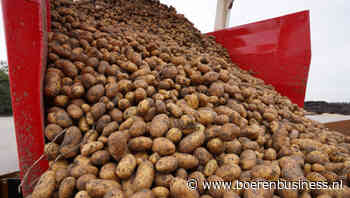 Contractcorrectie voor Belpotato onaanvaardbaar