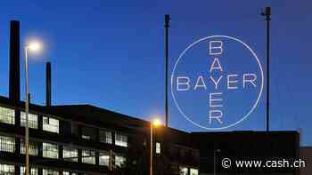 Bayer-Aktie zieht an: Durchhalteparolen und Hoffnungen ab 2026