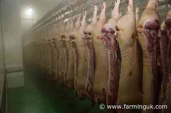 Campaigners launch survey for farmers to 'save small abattoirs'