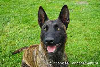 Waakhond tegen regelgeving wordt een blijvertje