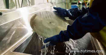 The Wizard of Vinyl Is in Kansas