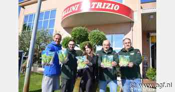 Jaarrond teelt Chrunchy sla in Italië