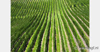 Nederlands-Ethiopisch partnerschap bevordert duurzame land- en tuinbouw