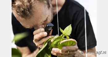 FVO start Green Growing Expertise Center: "Laten zien wat werkt en wat niet"