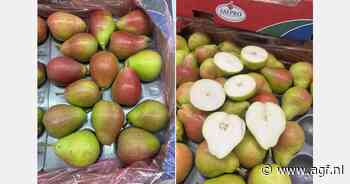 "Specifieke vraag van groothandels naar gebloste overzeese peren, maar niet meer in de volumes van vroeger"