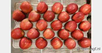 Iraans exportverbod op fruit doet vraag naar Europese appelen in India toenemen